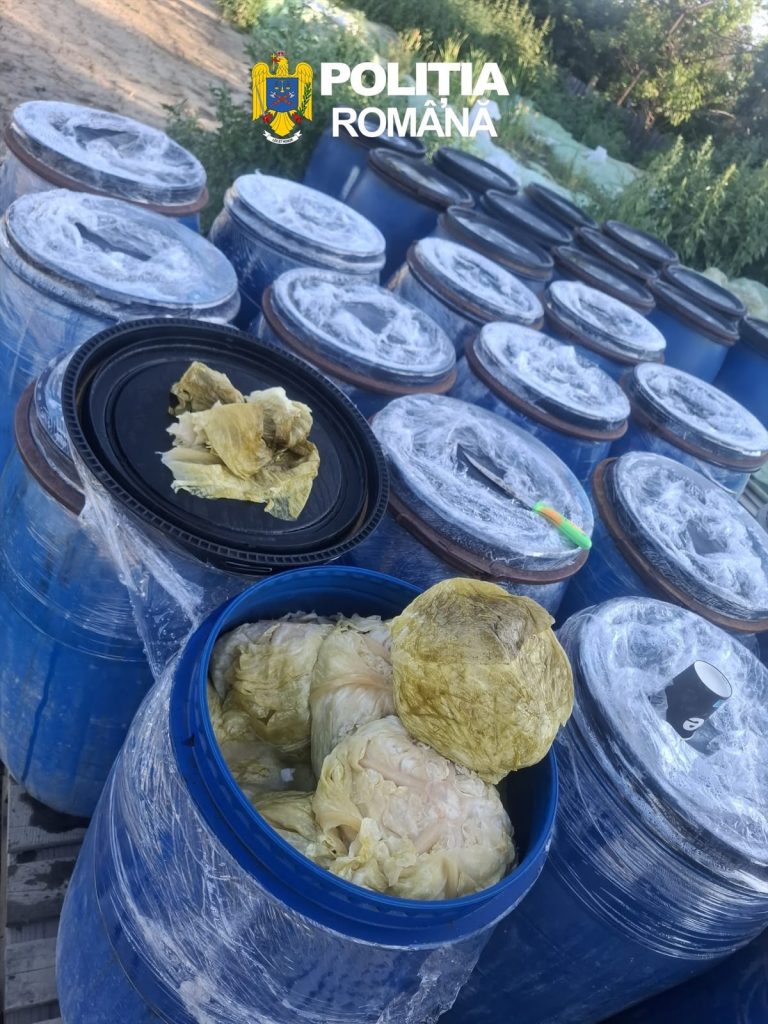 8 tone de varză murată