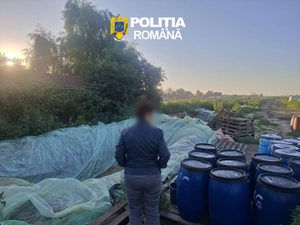 8 tone de varză murată