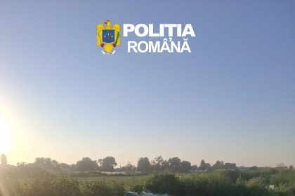8 tone de varză murată