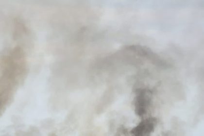 Incendiu într-un lan de grâu