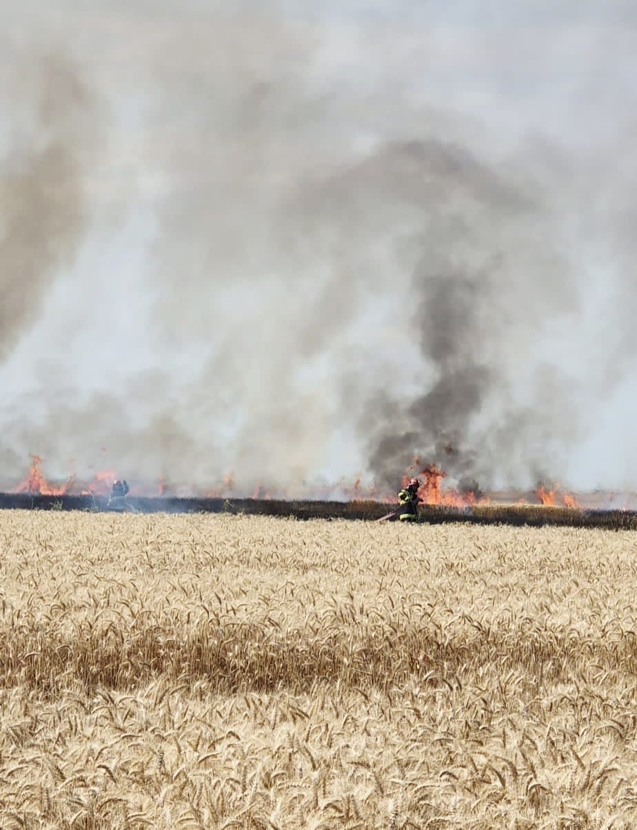 Incendiu într-un lan de grâu