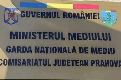 Amendă de 15.000 de lei