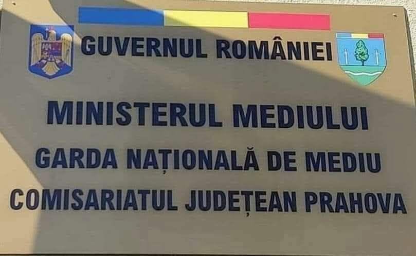 Amendă de 15.000 de lei