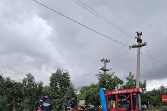 Furtunile au făcut ravagii