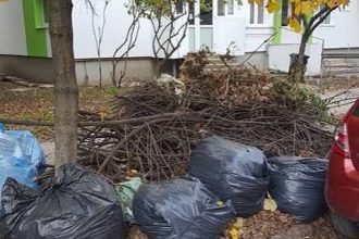 Comuna Poienarii Burchii se mobilizează pentru curățenie! Sâmbătă are loc colectarea deșeurilor vegetale