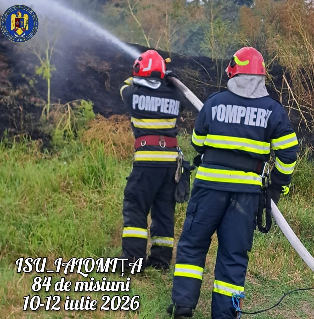 Zeci de intervenții