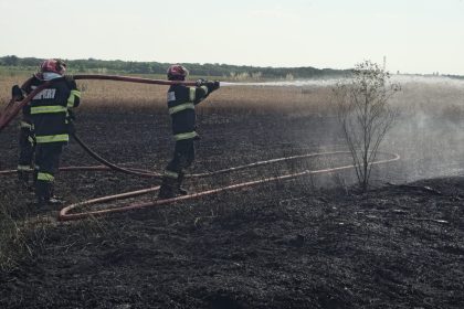 31 de vieți salvate