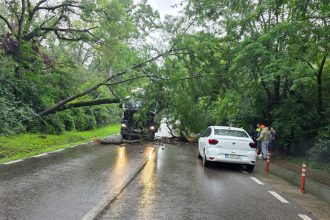 Clipe de groază în Păulești
