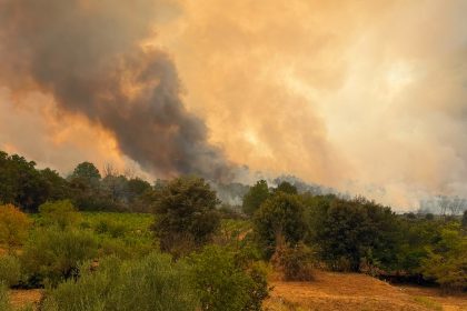 Pompierii români luptă cu un incendiu