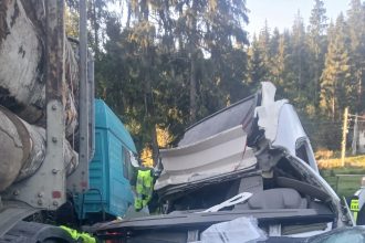 Accident devastator pe DN 13A