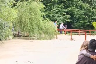 Furtunile au făcut ravagii în Prahova.