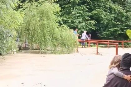 Furtunile au făcut ravagii în Prahova.
