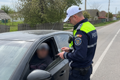 Șoferi fără drept