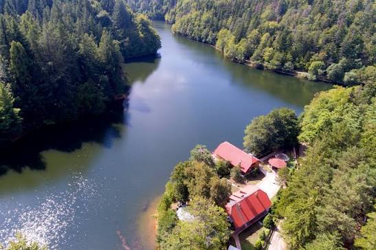 Pădurile din Prahova