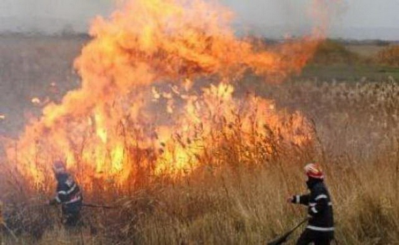 Incendiile scapă de sub control!