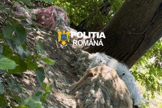 Percheziții într-un dosar de braconaj