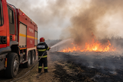 Incendiile de vegetație fac ravagii