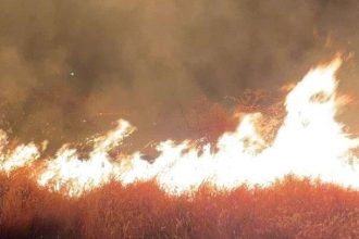 Alertă pentru români