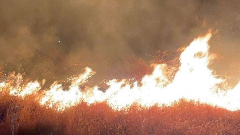 Alertă pentru români