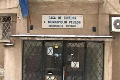 Cursuri noi