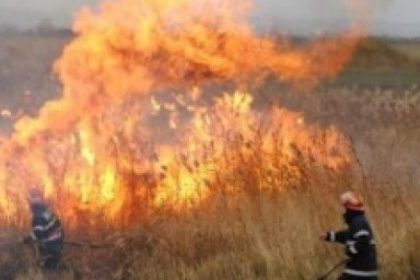 Peste 2.300 de hectare