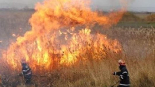 Peste 2.300 de hectare